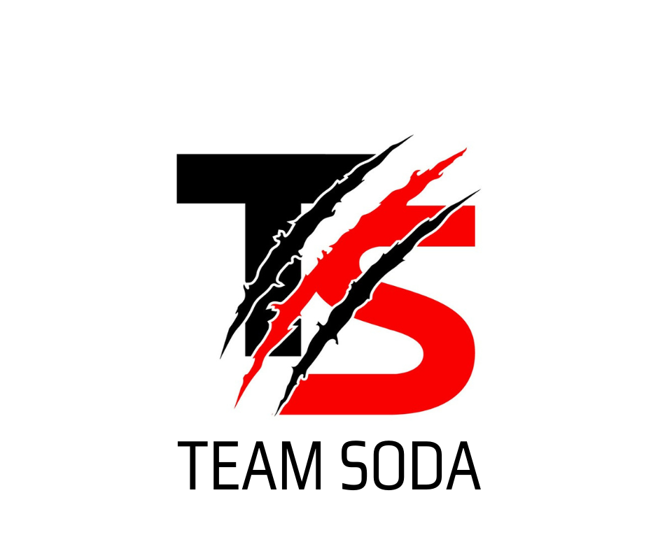 teamsoda.pro